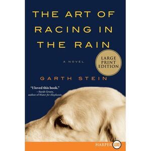 The Art of Racing in the Rain -- Garth Stein